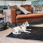 Hundedecke Travel In Style Kentucky Grau