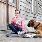 Hundedecke Travel In Style Kentucky Grau