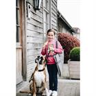 Hundedecke Travel In Style Kentucky Grau