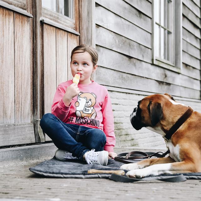 Hundedecke Travel In Style Kentucky Grau