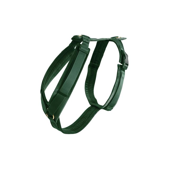 Hundegeschirr Active Velvet Kentucky Grün