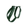 Hundegeschirr Active Velvet Kentucky Grün