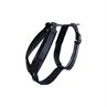 Hundegeschirr Active Velvet Kentucky Schwarz
