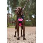 Hundegeschirr Anti Pull WeatherBeeta Schwarz-Pink