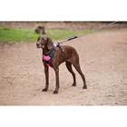 Hundegeschirr Anti Pull WeatherBeeta Schwarz-Pink