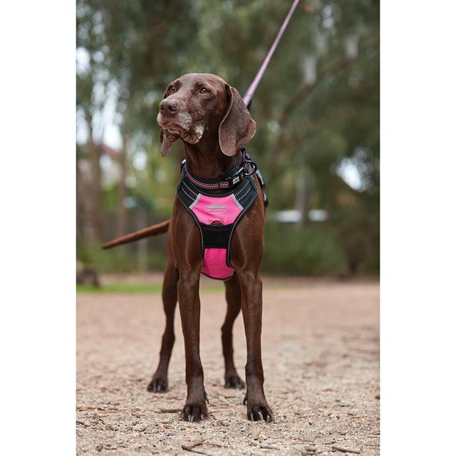 Hundegeschirr Anti Pull WeatherBeeta Schwarz-Pink