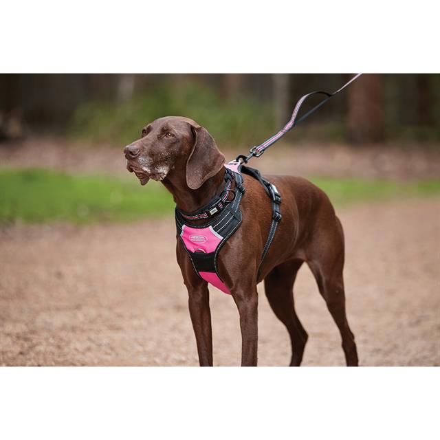 Hundegeschirr Anti Pull WeatherBeeta Schwarz-Pink