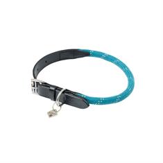 Hundehalsband Ascot LeMieux Türkis