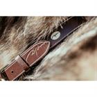 Hundehalsband aus Glattleder Dy'on Braun