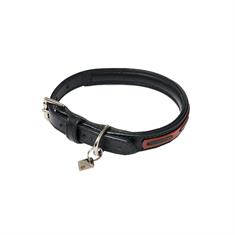Hundehalsband Cambridge LeMieux Schwarz