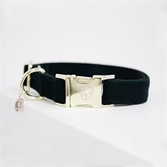 Hundehalsband Corduroy Kentucky Grün