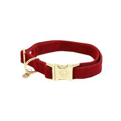 Hundehalsband Corduroy Kentucky Rot