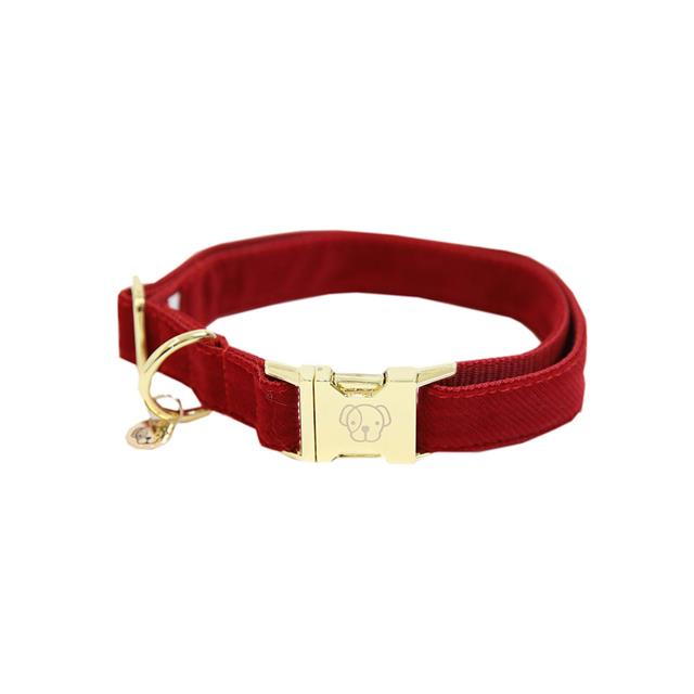 Hundehalsband Corduroy Kentucky Rot