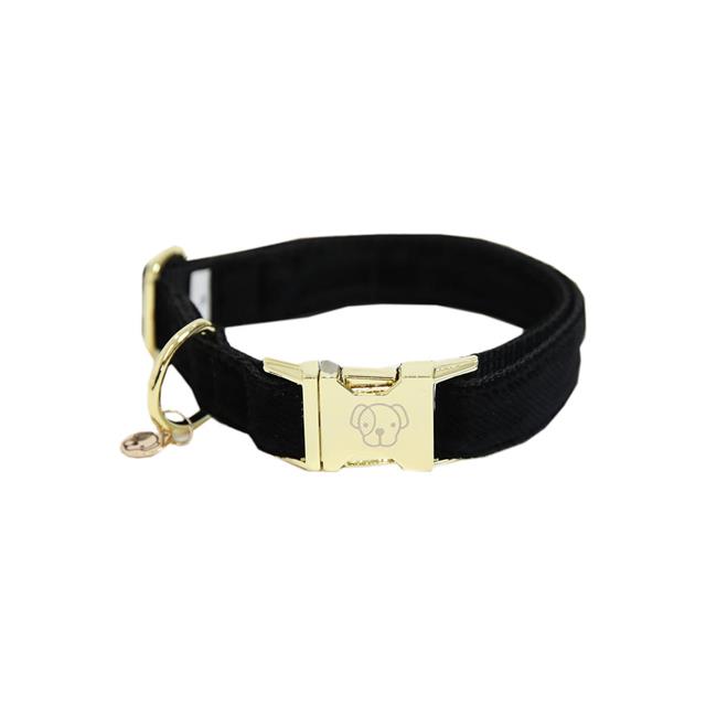 Hundehalsband Corduroy Kentucky Schwarz