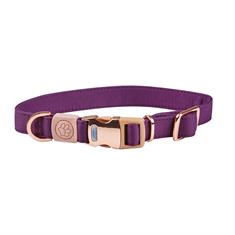 Hundehalsband Elegance WeatherBeeta Lila