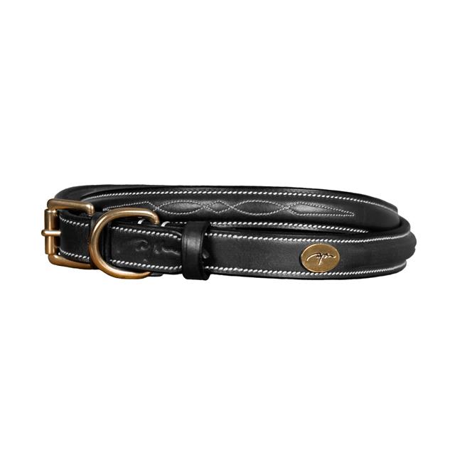 Hundehalsband Fancy Dy'on Schwarz