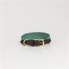 Hundehalsband Jacquard Kentucky Grün