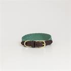 Hundehalsband Jacquard Kentucky Grün