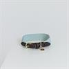 Hundehalsband Jacquard Kentucky Hellblau