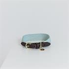 Hundehalsband Jacquard Kentucky Hellblau