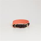 Hundehalsband Jacquard Kentucky Hellrot