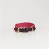 Hundehalsband Jacquard Kentucky Rosa