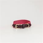 Hundehalsband Jacquard Kentucky Rosa