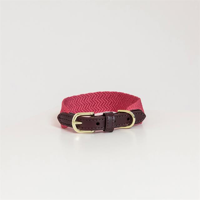 Hundehalsband Jacquard Kentucky Rosa