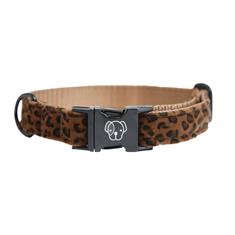 Hundehalsband Kentucky Braun