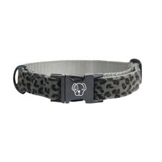 Hundehalsband Kentucky Grau