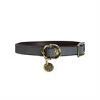 Hundehalsband Loop Kentucky Grau