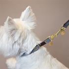 Hundehalsband Loop Kentucky Grau