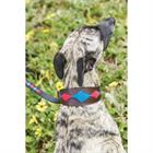 Hundehalsband Lurcher WeatherBeeta Mehrfarbig