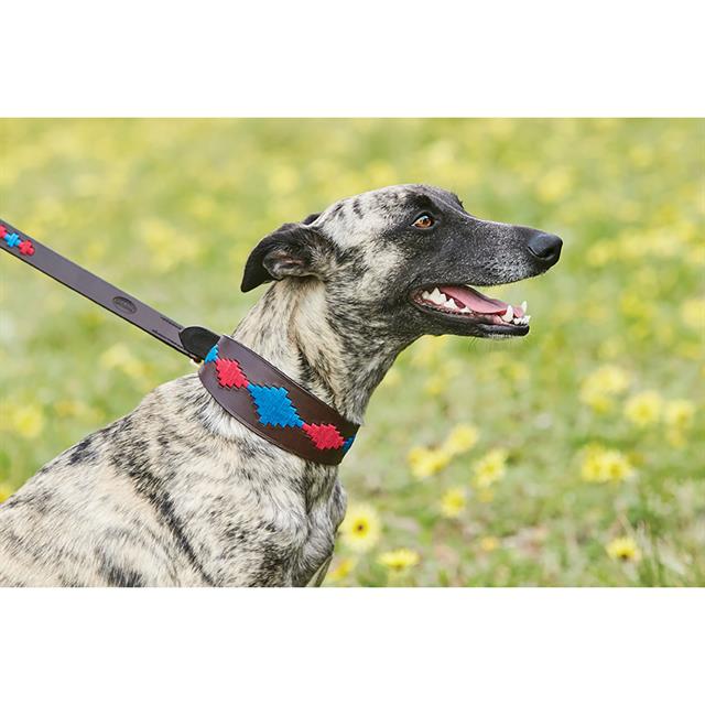 Hundehalsband Lurcher WeatherBeeta Mehrfarbig