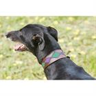 Hundehalsband Lurcher WeatherBeeta Sonstige