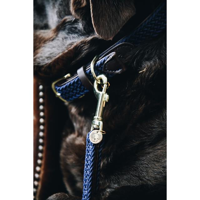Hundehalsband Nylon geflochten Kentucky Dunkelblau