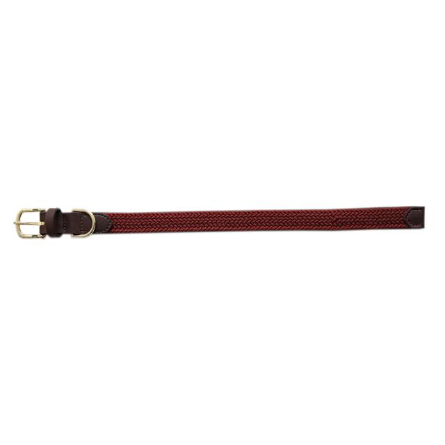 Hundehalsband Nylon geflochten Kentucky Dunkelrot