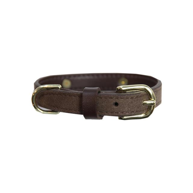 Hundehalsband Samt Leder Kentucky Braun