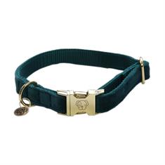 Hundehalsband Velvet Kentucky Dunkelgrün