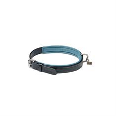 Hundehalsband Windsor LeMieux Schwarz-Blau