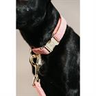 Hundehalsband Wolle Kentucky Rosa