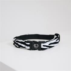 Hundehalsband Zebra Kentucky Schwarz-Weiß