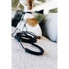 Hundeleine Schleppleine Kentucky Schwarz