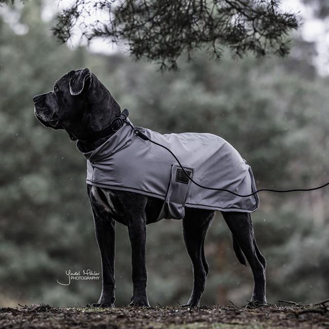 Hundeleine Schleppleine Kentucky Schwarz