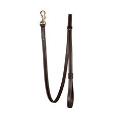 Hundeleine Verstellbar Dy'on Braun