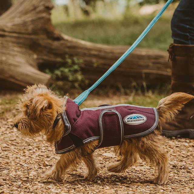 Hundemantel ComFiTec Premier Free 1200D 220 g WeatherBeeta Dunkelrot