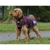Hundemantel ComFiTec Windbreaker Free WeatherBeeta Dunkelrot