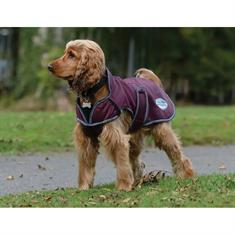 Hundemantel ComFiTec Windbreaker Free WeatherBeeta Dunkelrot