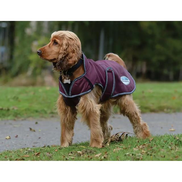 Hundemantel ComFiTec Windbreaker Free WeatherBeeta Dunkelrot