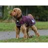 Hundemantel ComFiTec Windbreaker Free WeatherBeeta Dunkelrot